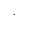 image_ccbec7cd-8311-483b-8f64-bc4d31b9bafe